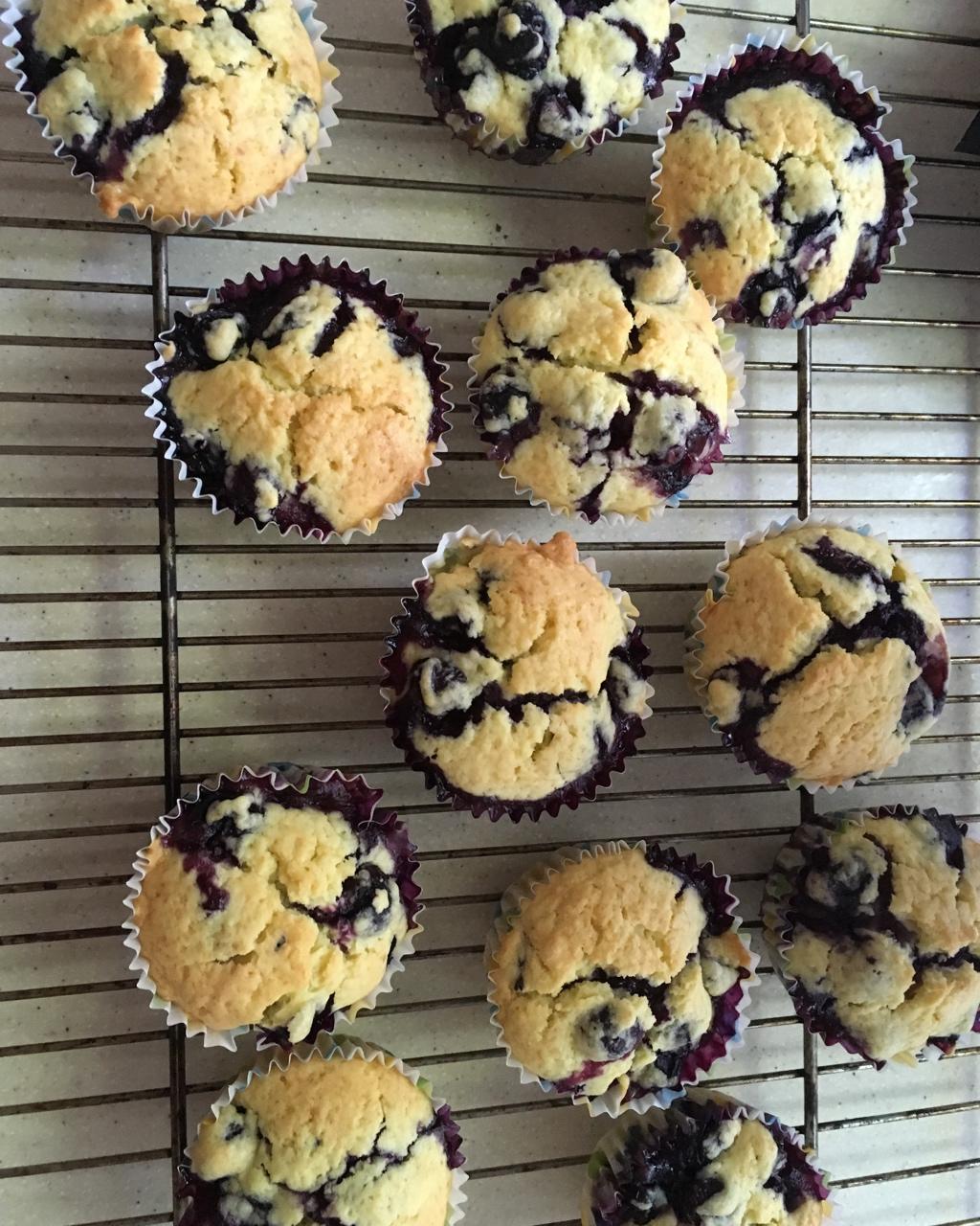 蓝莓玛芬蛋糕 Blueberry Muffin