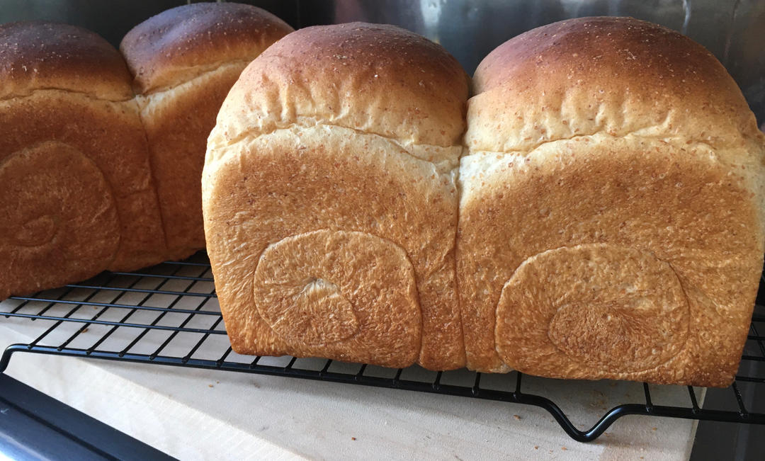 超柔软の坚果全麦吐司🍞