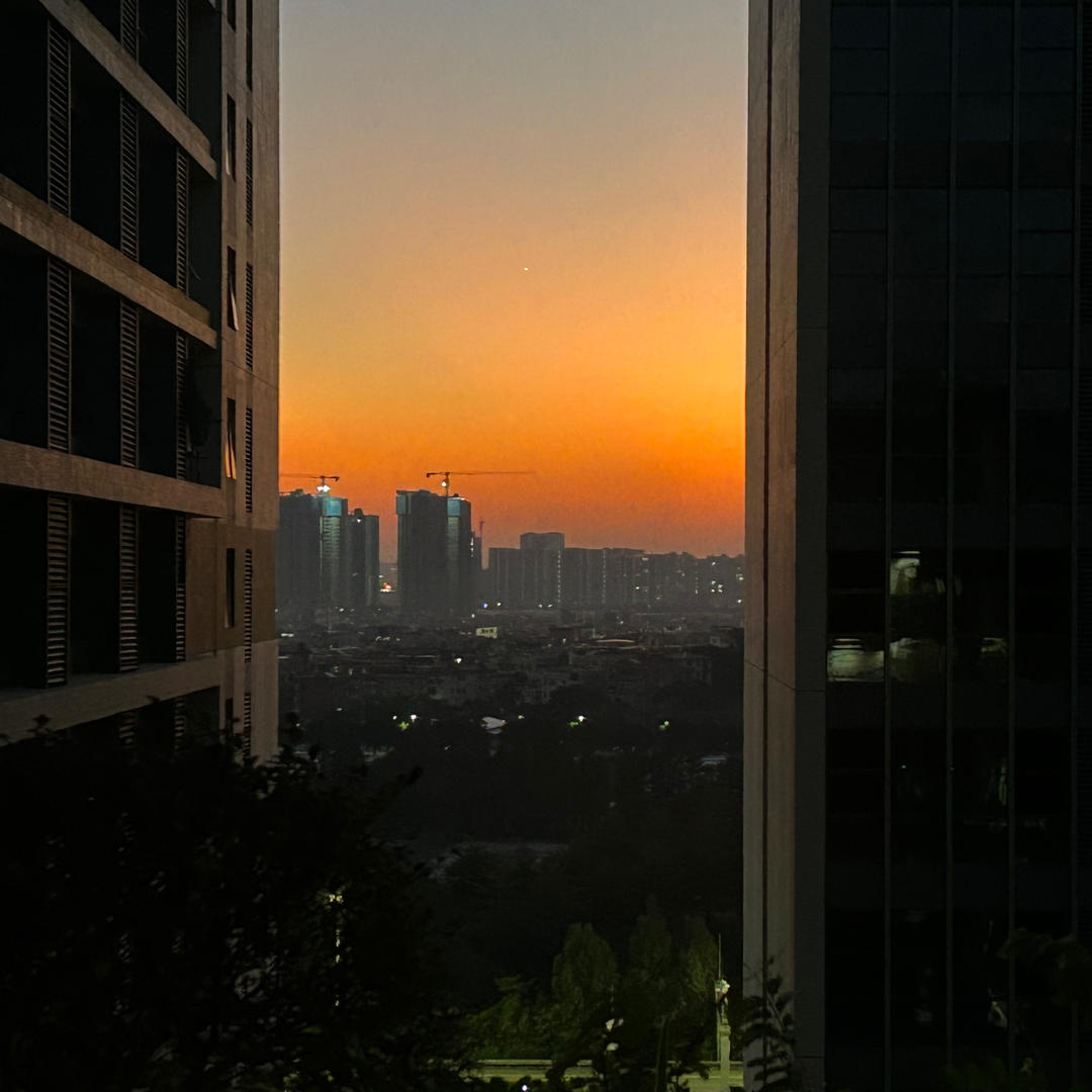朝朝朝啊