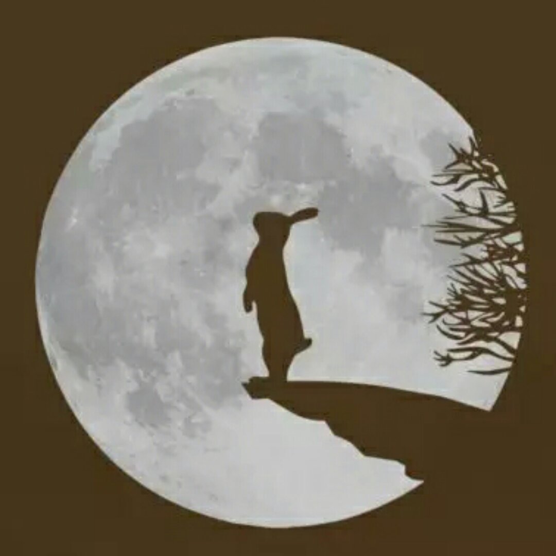 有耳朵的白兔子