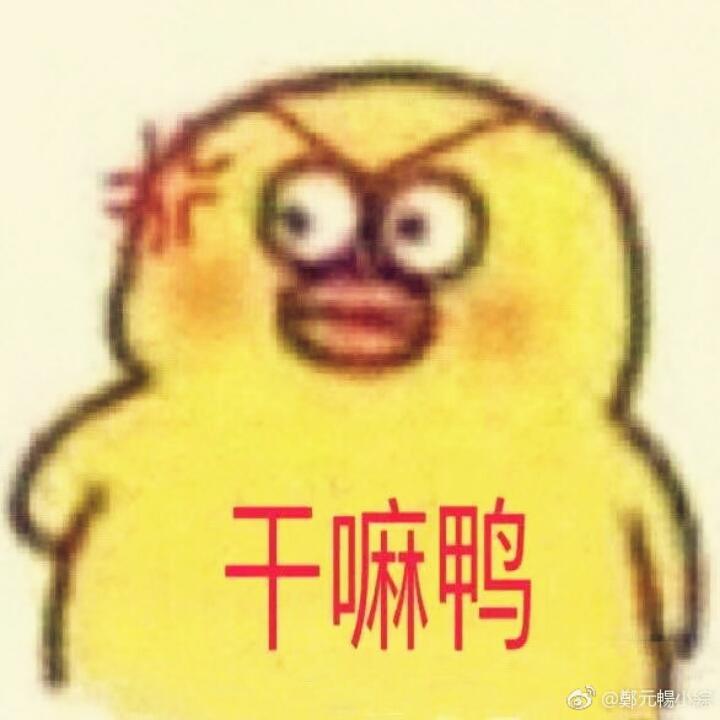 干嘛鸭鸭