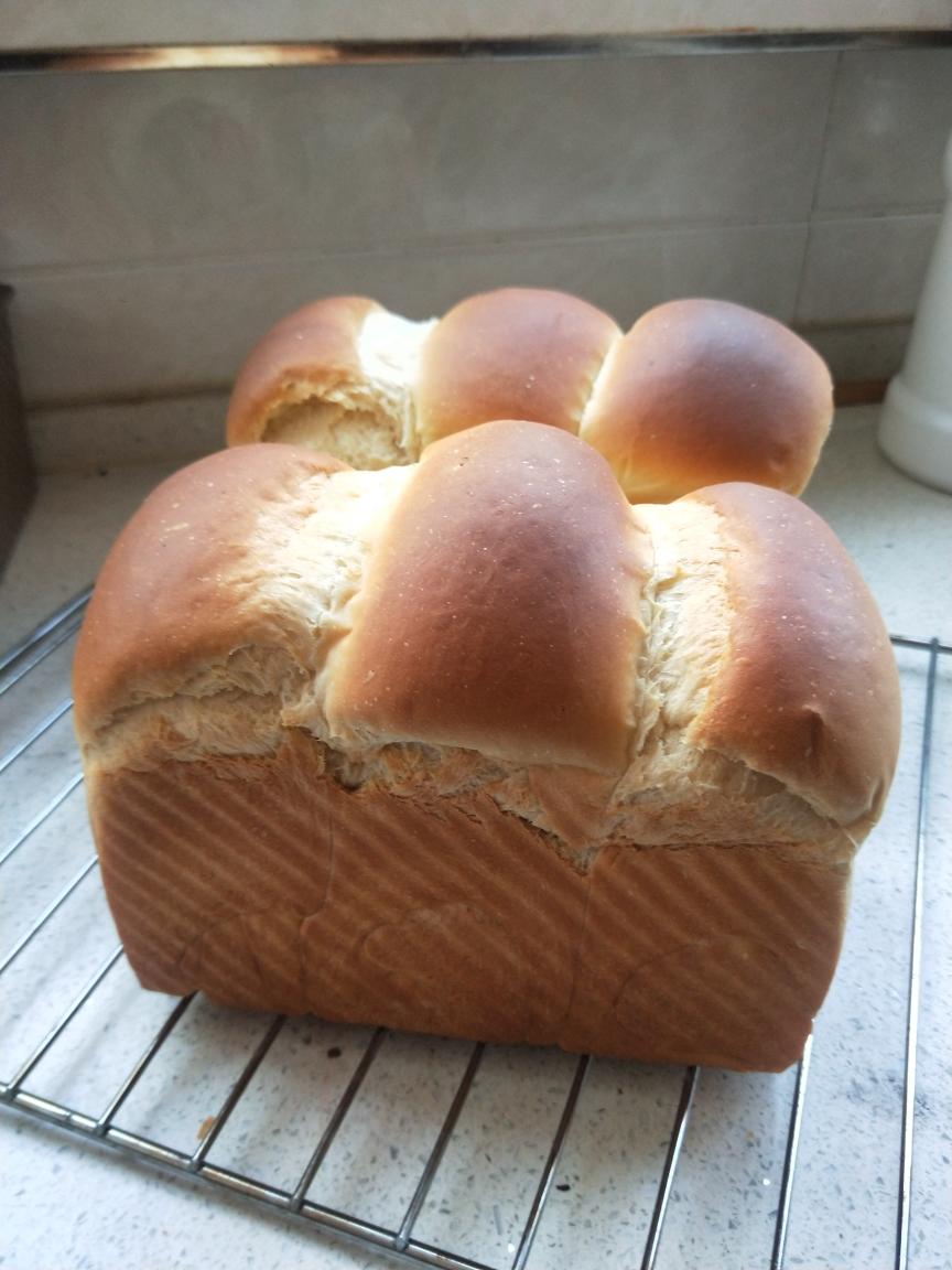 纯奶手撕吐司的做法 步骤1