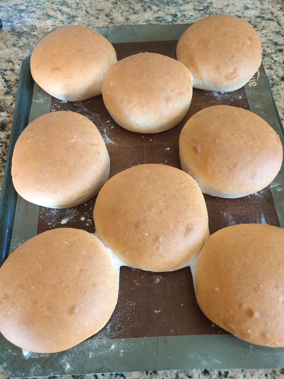 🍔圆滚滚基础汉堡胚