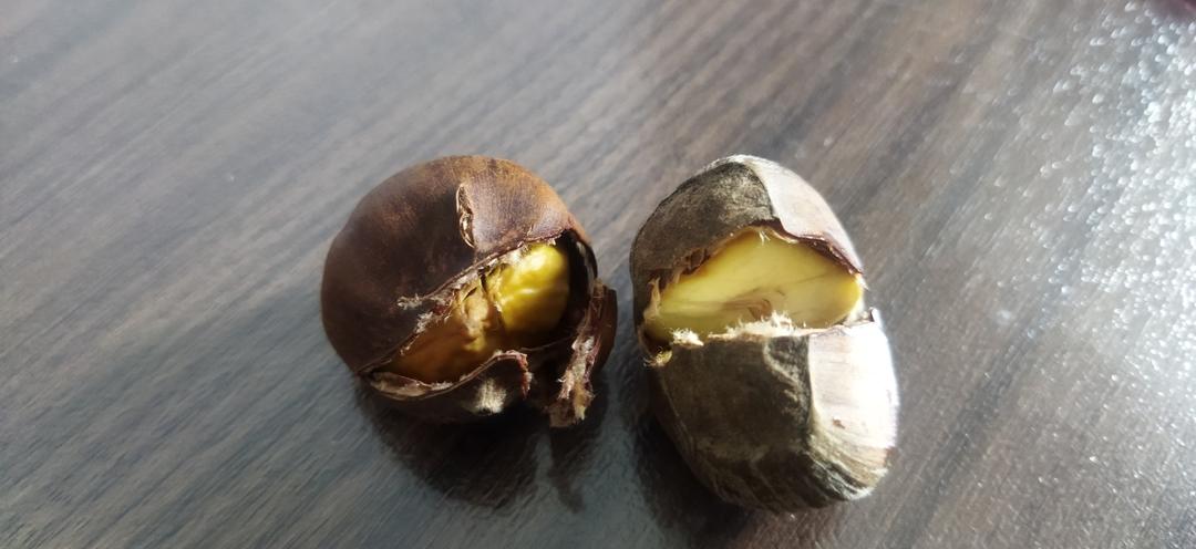 做一次就会爱上的烤板栗！（微波炉版超简单）