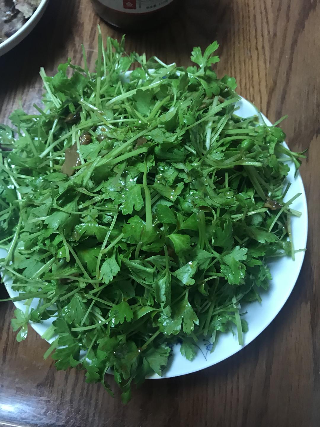 凉拌芹菜苗的做法