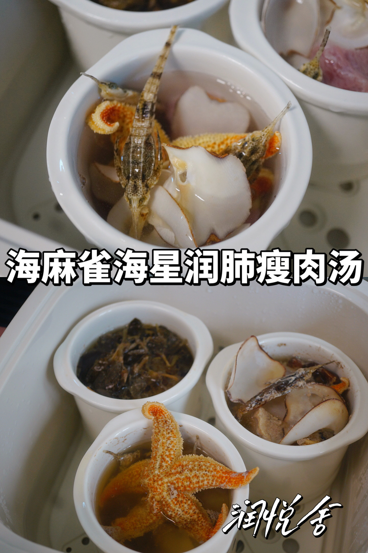 海麻雀海星润肺止咳瘦肉汤🍲的做法
