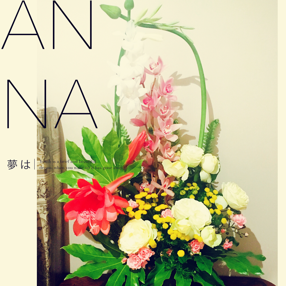 我家的花花草草