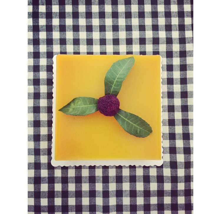 芒果冻芝士蛋糕