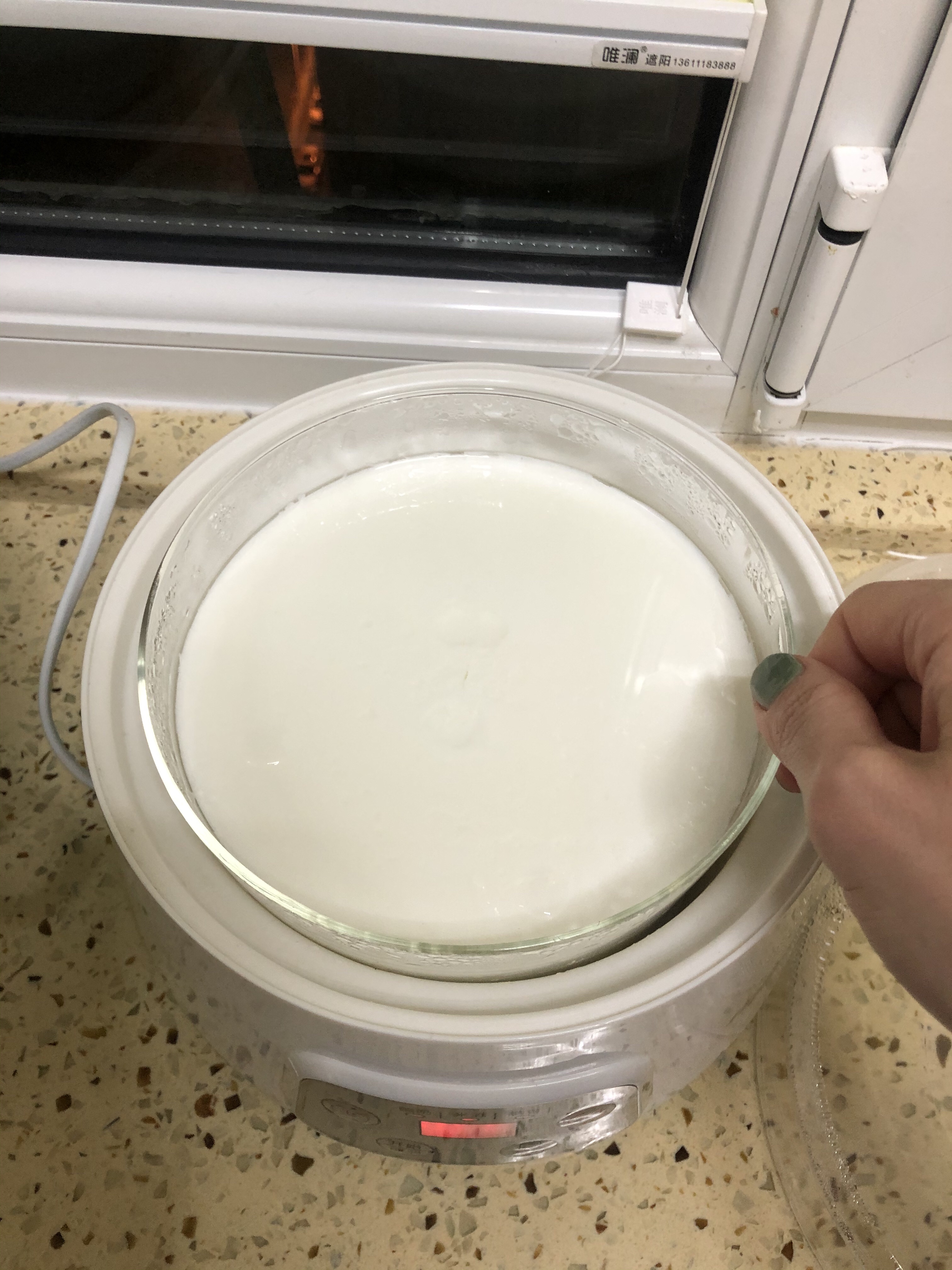 自制 希腊酸奶                        附赠乳清能量表的做法 步骤3