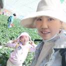 想要吃胖的吃货