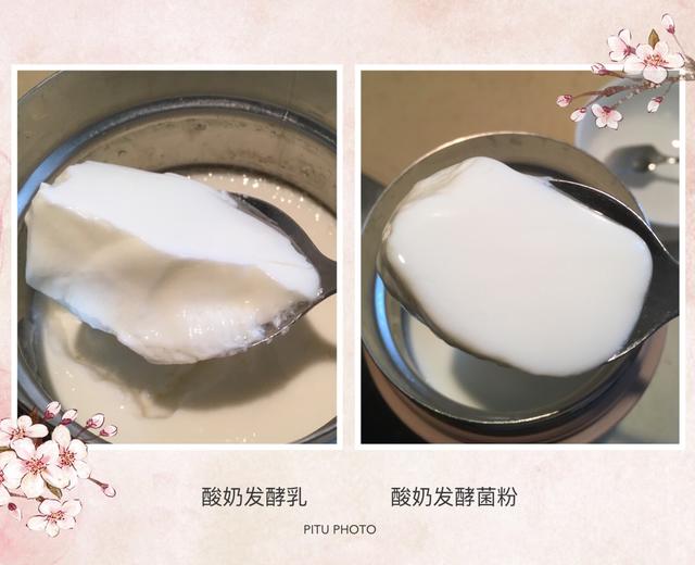 焖烧杯酸奶(酸奶发酵乳🆚菌粉)的做法