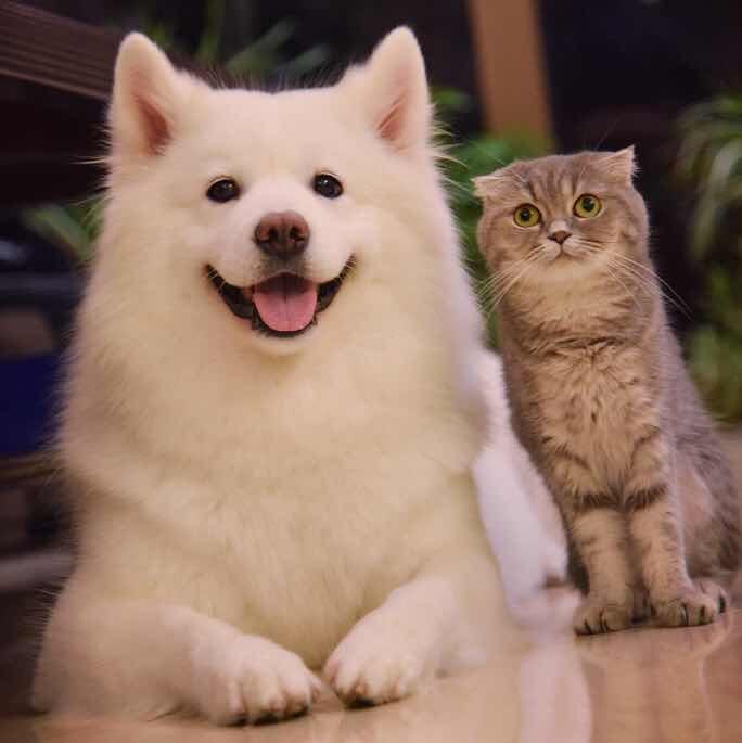 坏心眼的乌龟�