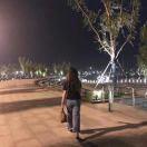 手机用户1229_bdfq