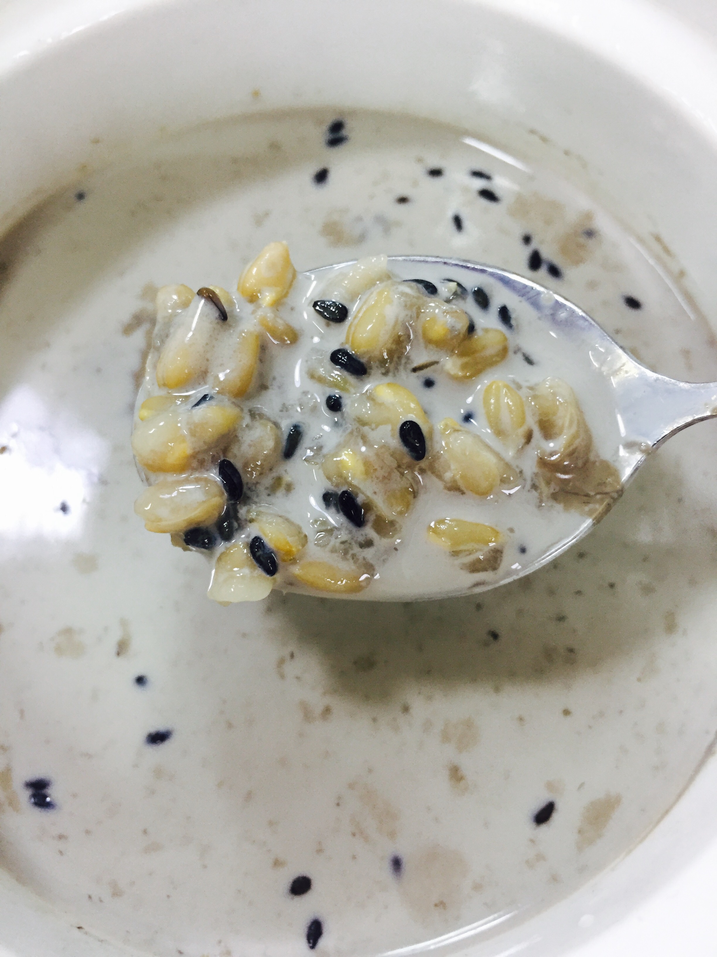 牛奶燕麦粥（隔水电炖锅版）