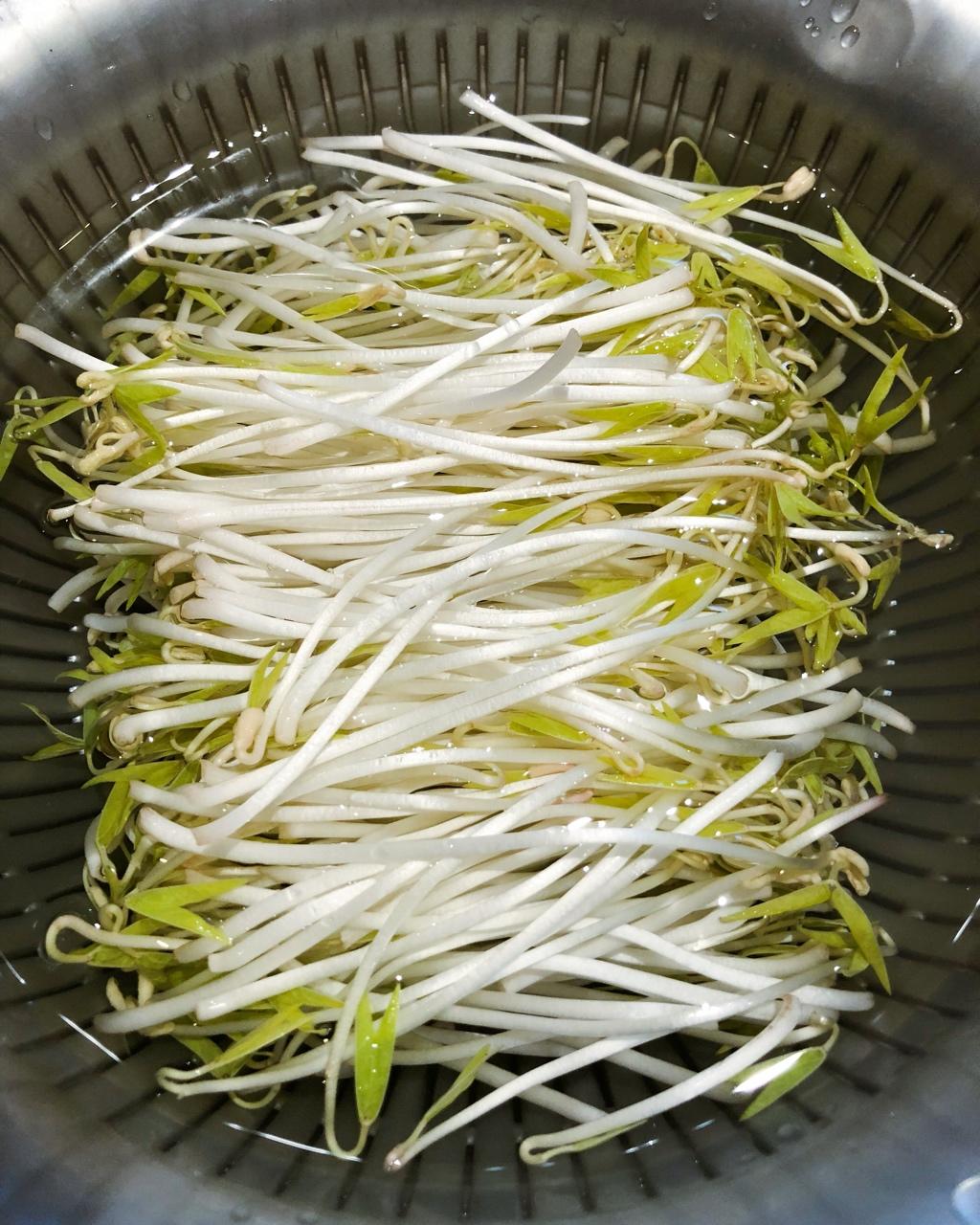 自发绿豆芽/自生豆芽/自制豆芽