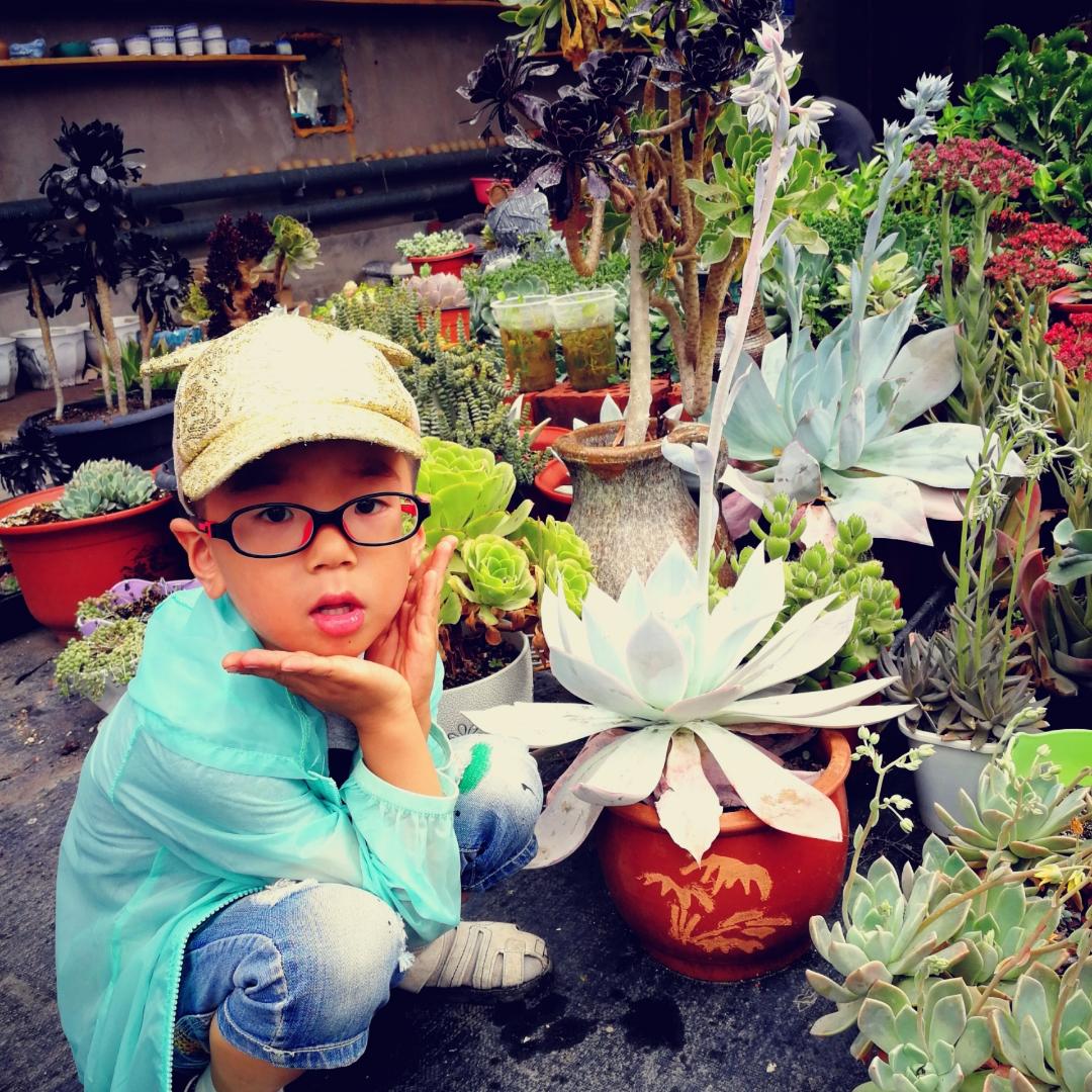 张家小芥末