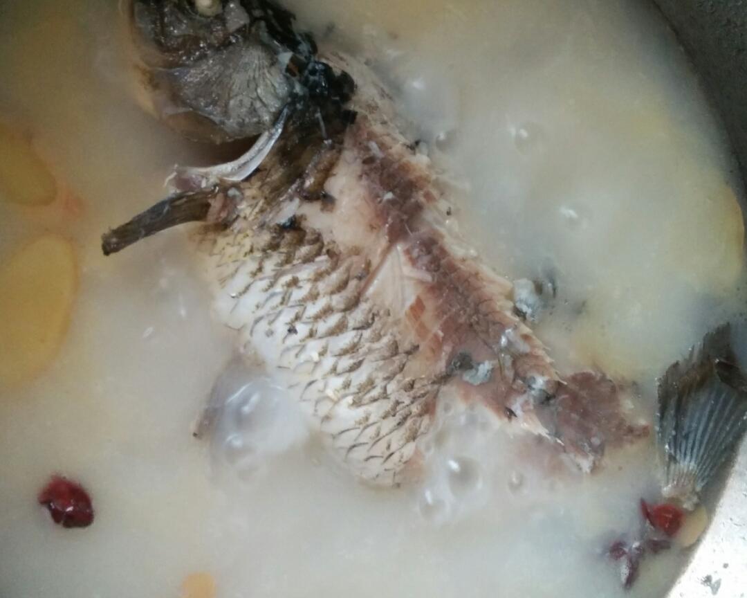 滋补养生炖鲫鱼