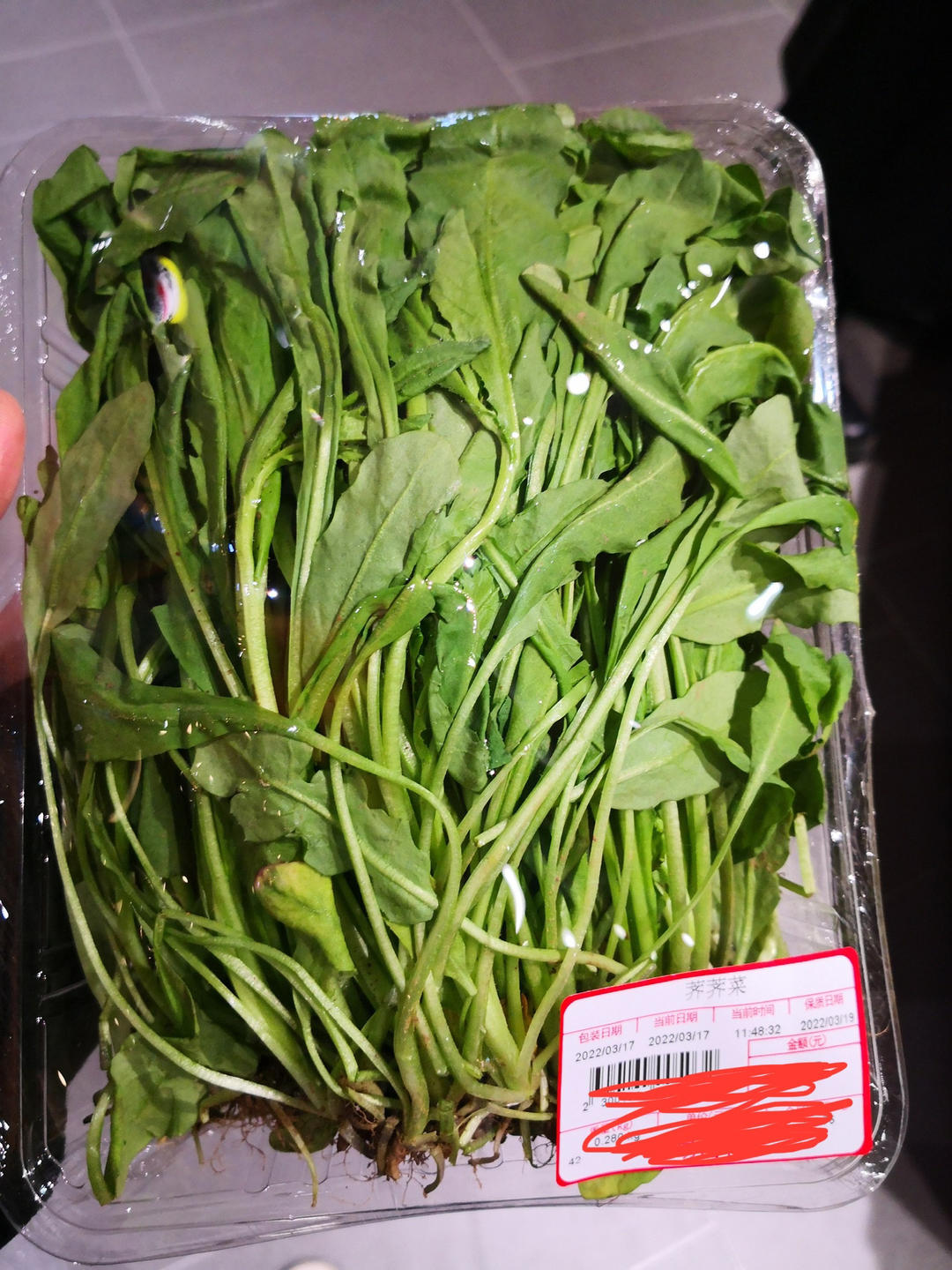 鸡蛋荠菜（野菜）饼，吃出春天的味道
