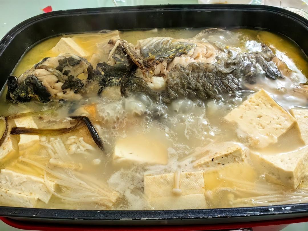摩飞锅鮰鱼/清江鱼汤锅