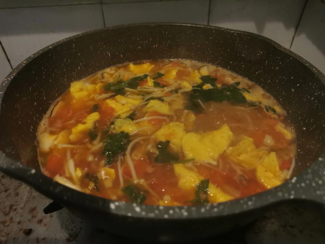 西红柿菌菇豆腐汤