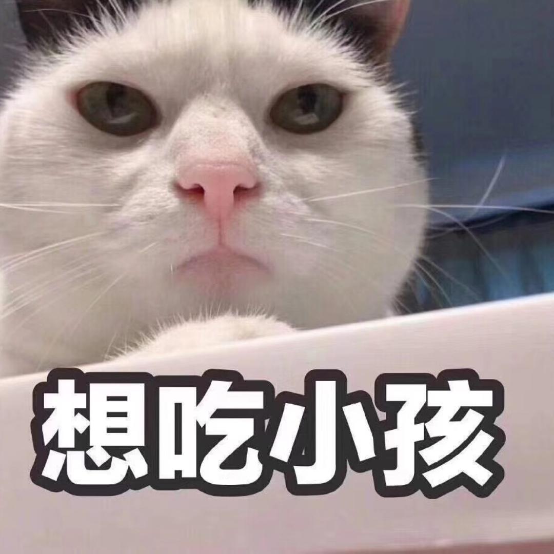 鱼丸粗面211