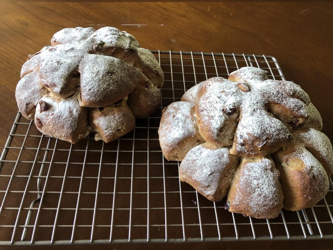 蔓陀罗（完胜原麦山丘）