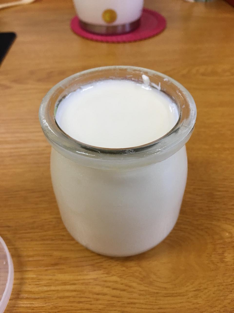 酸奶机自制酸奶