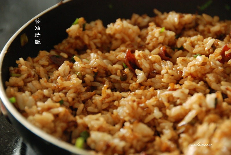 据说是 正宗酱油炒饭