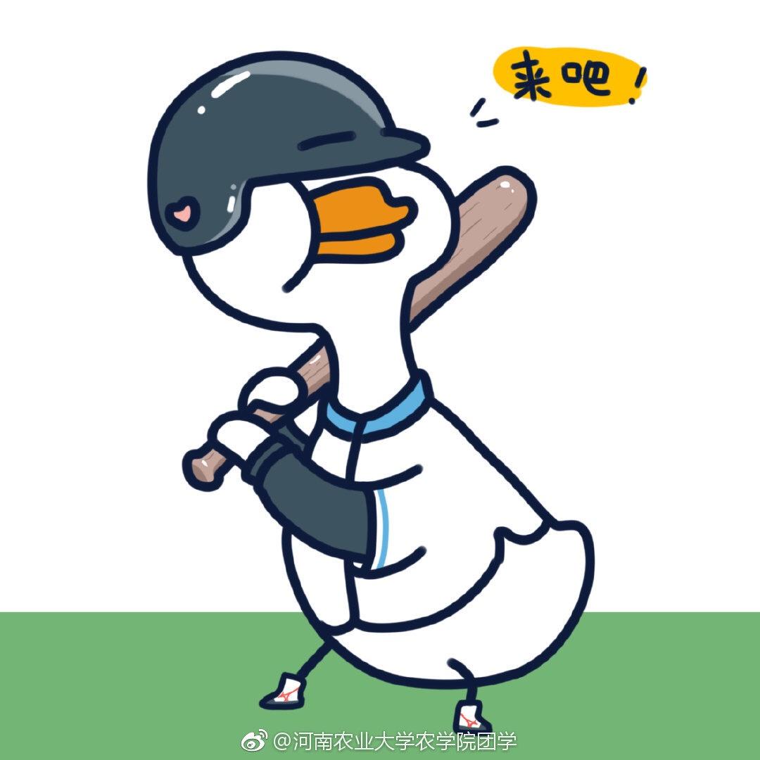 莎糖橘