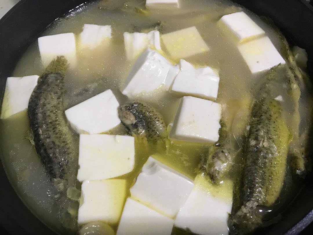 泥鳅炖豆腐（小贴士附杀泥鳅方法）