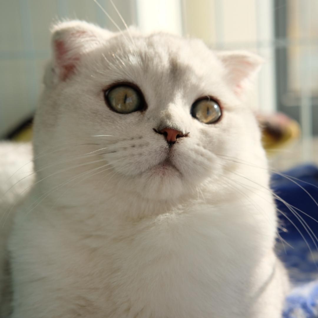 Chloe601