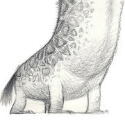 角色设计----进行中_脸猫