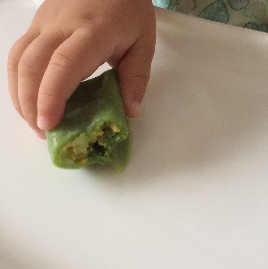 西瓜皮虾皮鸡蛋饺子