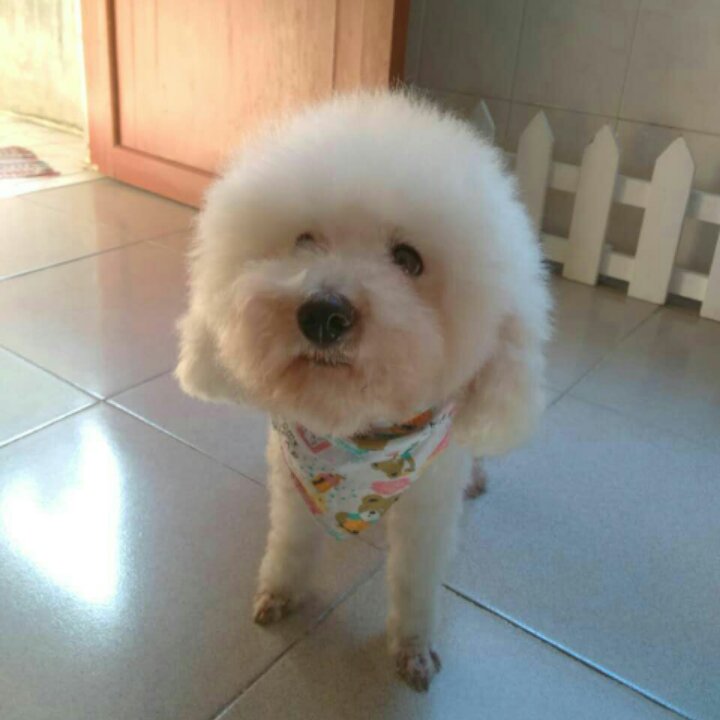 芸式情书