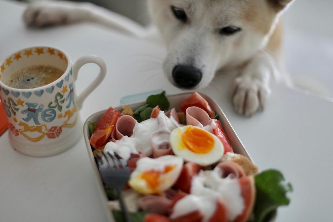 冰草沙拉的做法