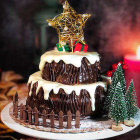 圣诞棉花糖奶油霜滴落树桩蛋糕