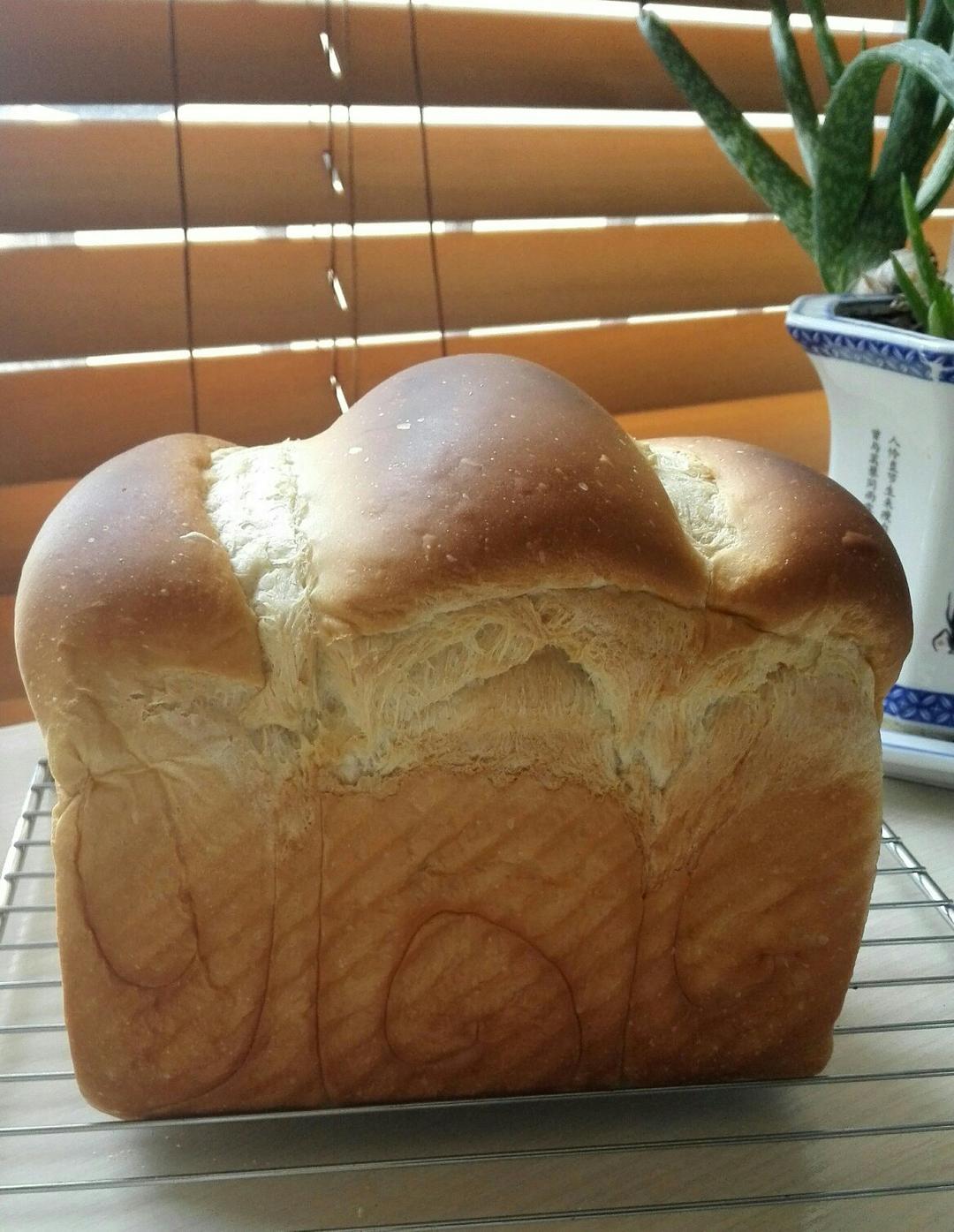 万用面包胚（冷藏中种法）