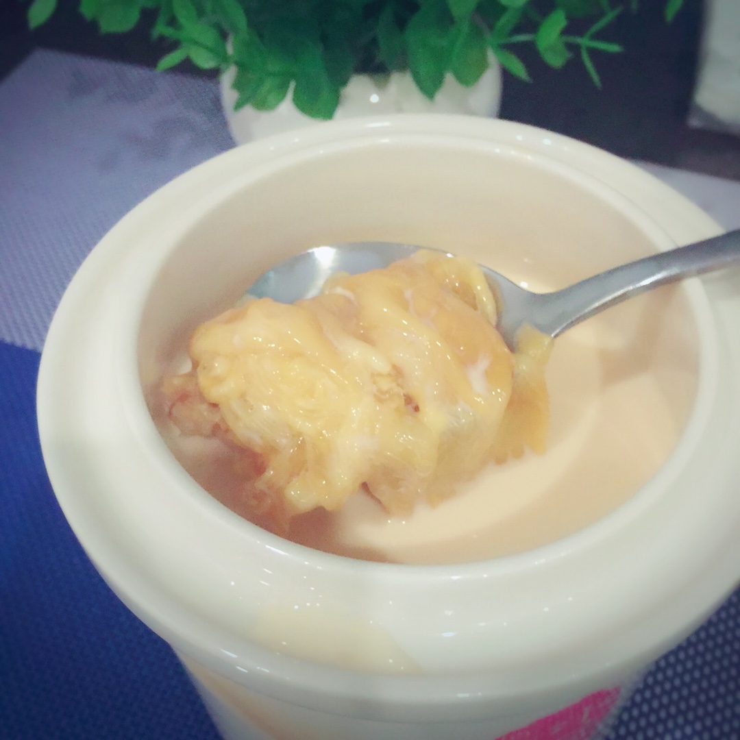 牛奶炖花胶