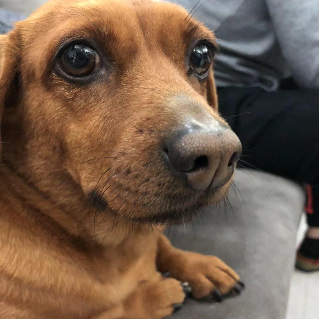 爱做菜的大坏蛋