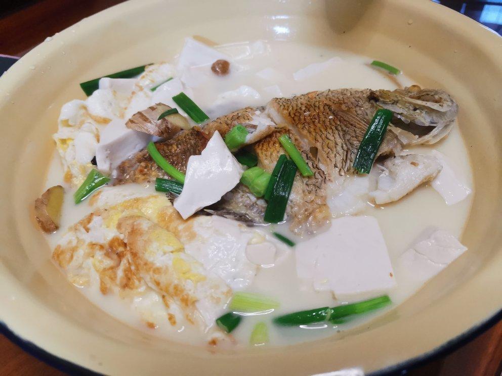 太阳鱼豆腐汤