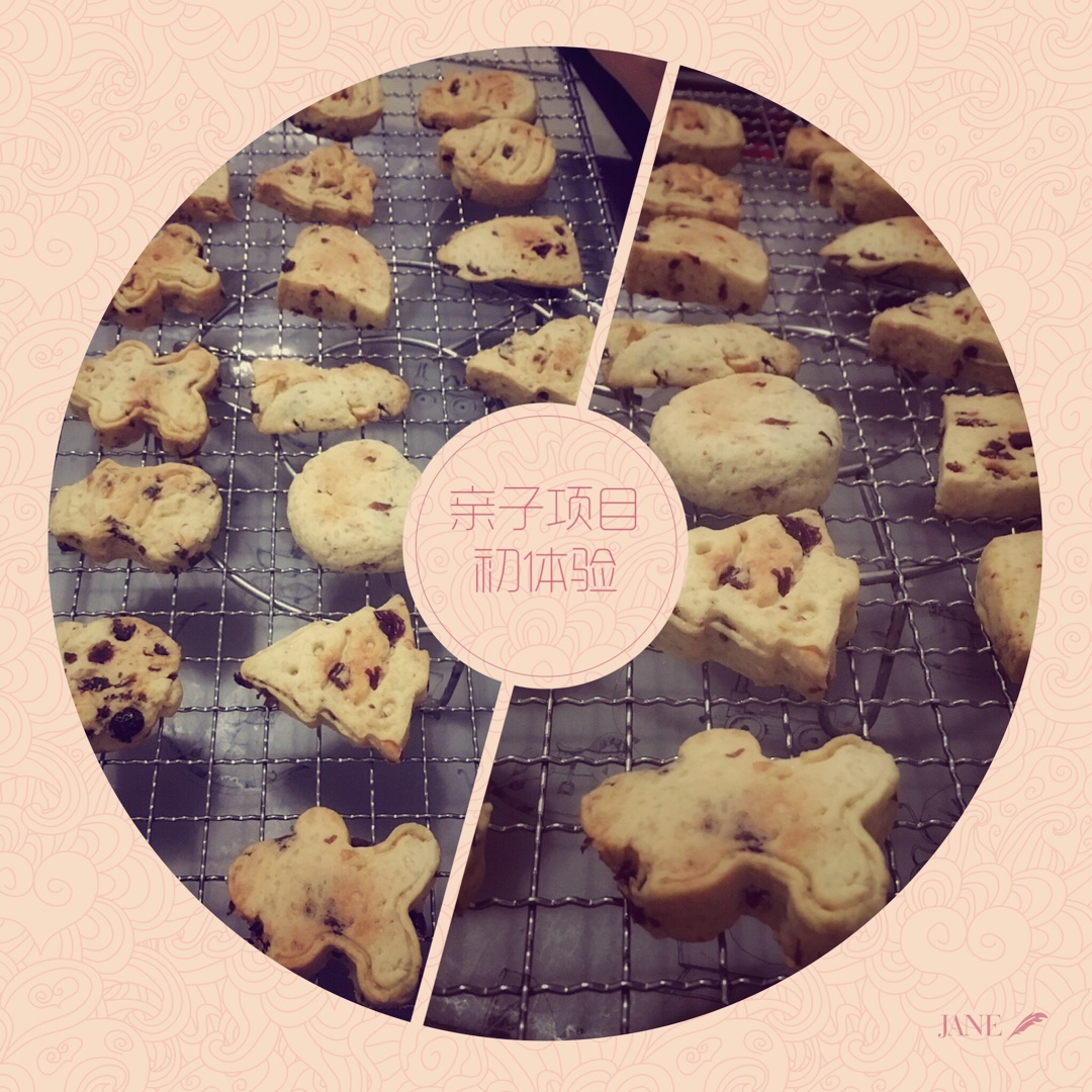 低糖少油版蔓越莓饼干