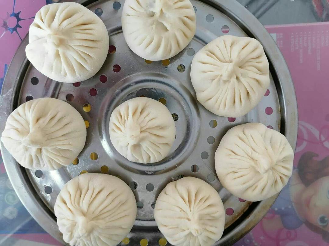 【包子那点儿事】