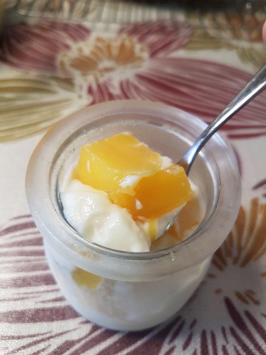 鱼胶牛奶冻（含鱼胶的泡发）