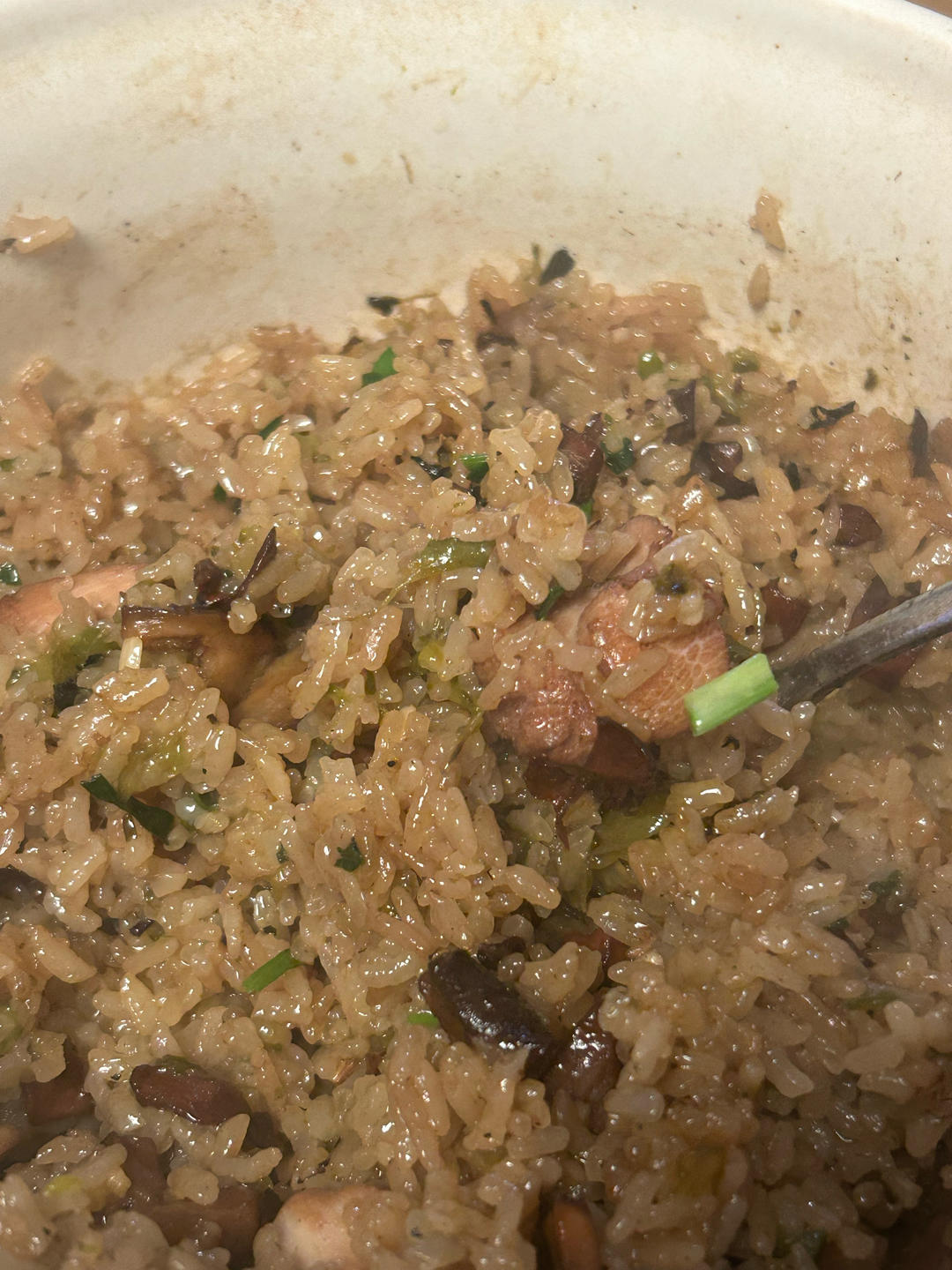 牛肝菌焖饭(云南味道)