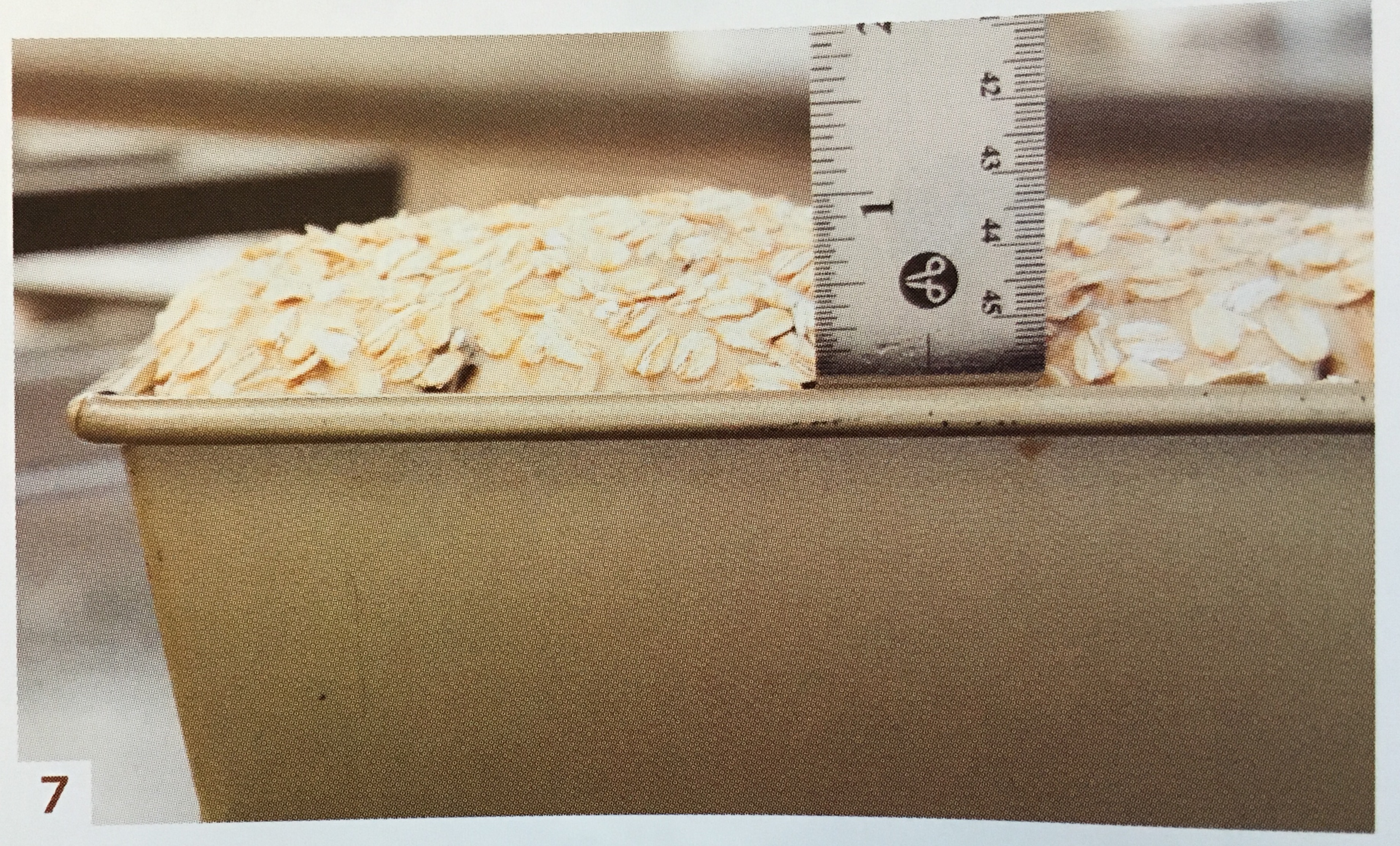 它就是一片固体燕麦粥 --- 燕麦葡萄干面包的做法 步骤7