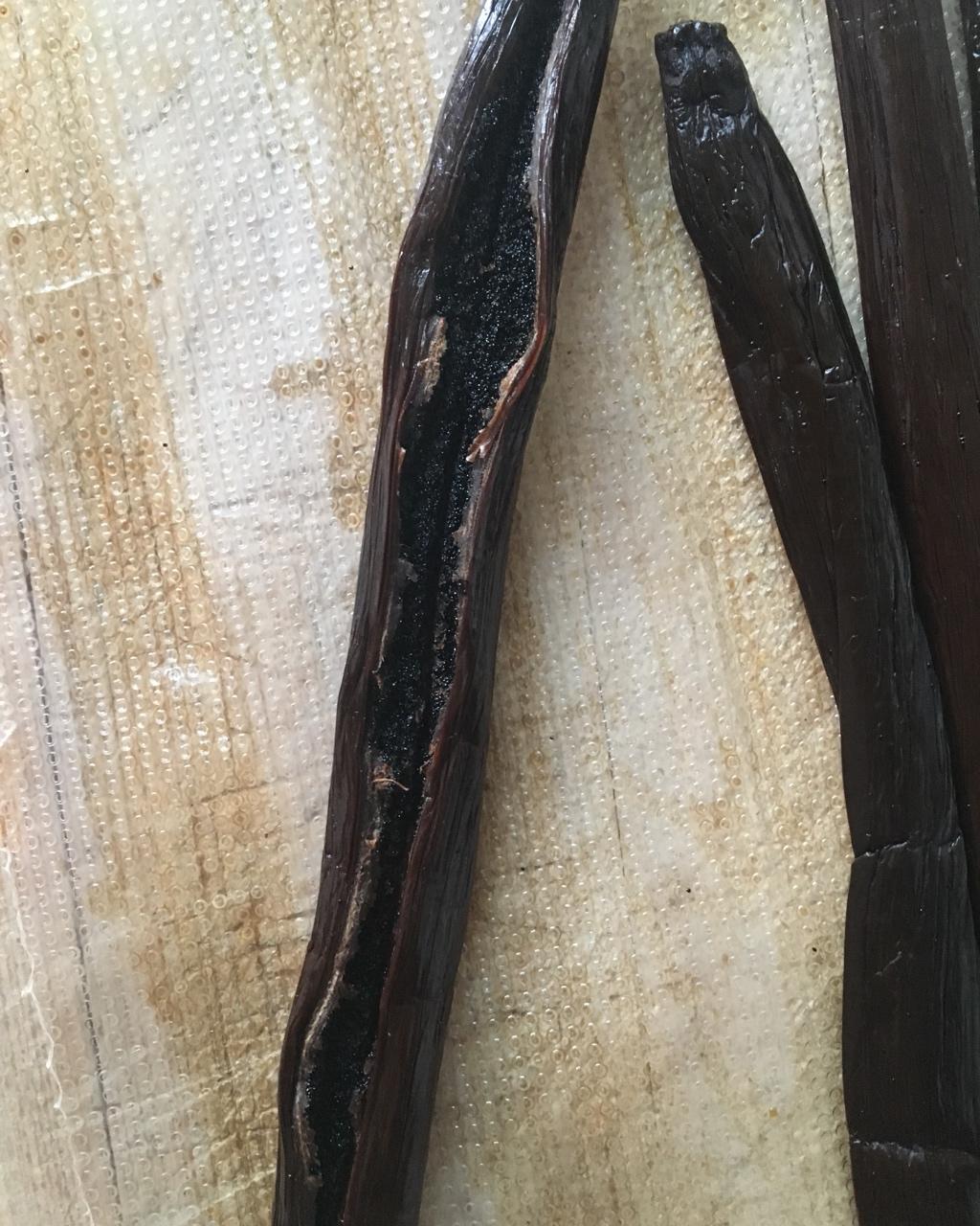 关于香草豆荚，看这一篇就够了