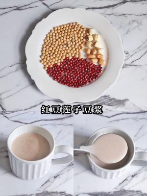 ㊙️减脂早餐|六款养生豆浆搭配🥛好喝又健康的做法 步骤1