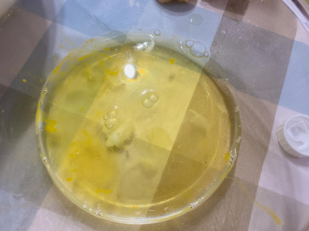 八寸百利甜古早蛋糕的做法 步骤10