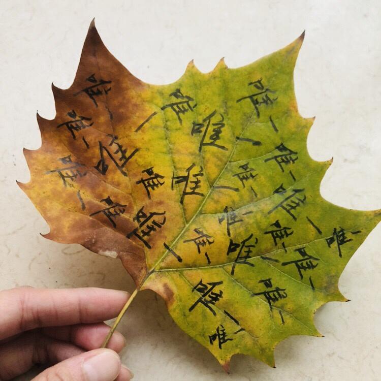 做饭是最好的修行