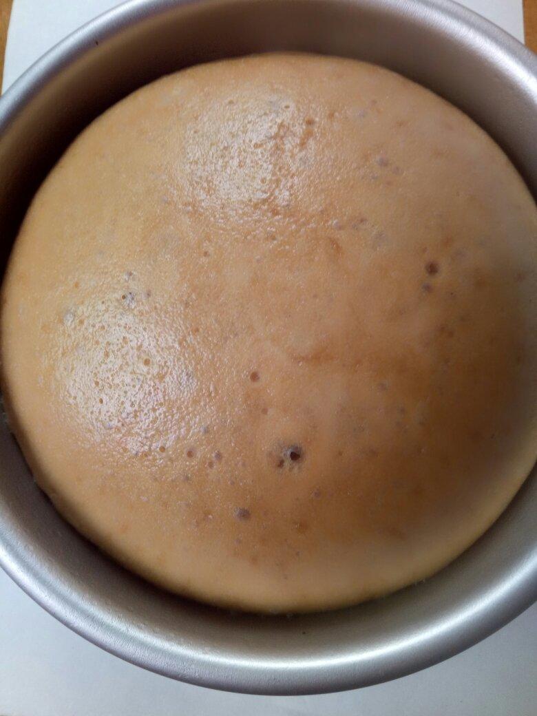 简易发酵红糖马拉糕-更新冬天发酵蒸制步骤